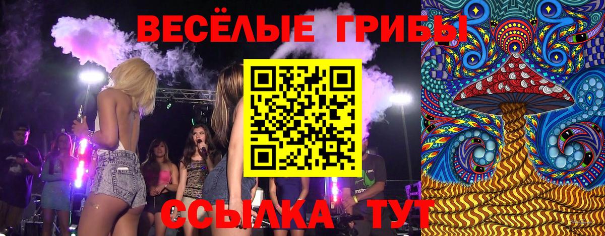 Галлюциногенные грибы Cubensis Новоалександровск